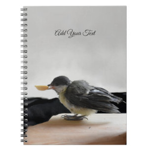 Tidi my Bird the Parus Major Anteckningsbok