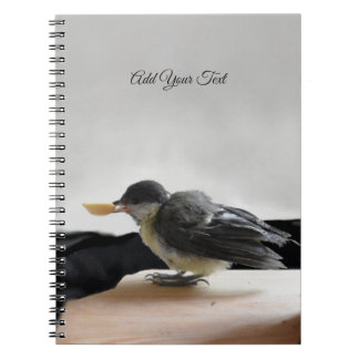 Tidi my Bird the Parus Major Anteckningsbok