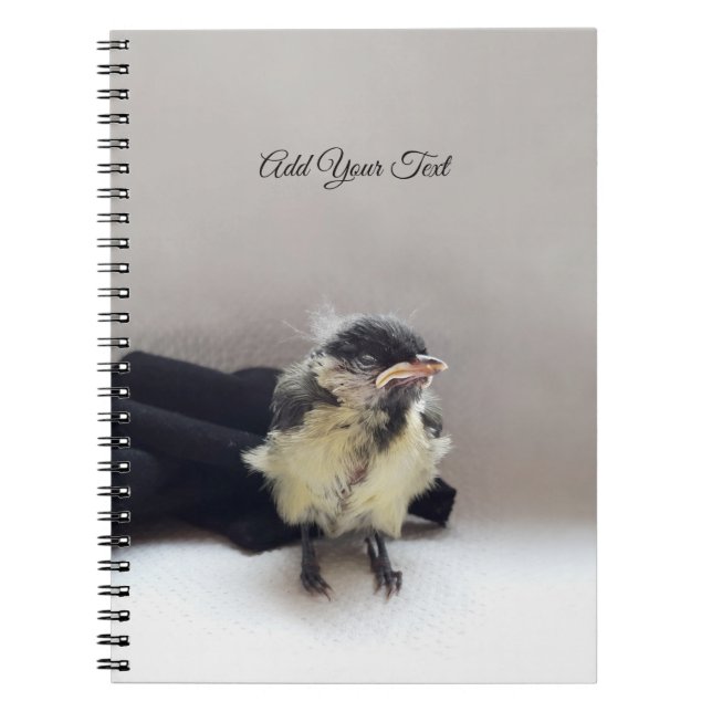 Tidi my Bird the Parus Major Anteckningsbok (Framsidan)