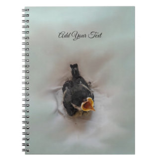 Tidi my Bird the Parus Major Anteckningsbok