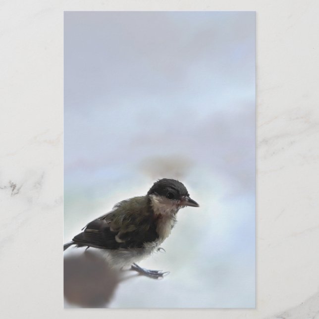 Tidi my Bird the Parus Major Brevpapper (Framsida)