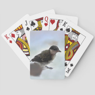 Tidi my Bird the Parus Major Casinokort