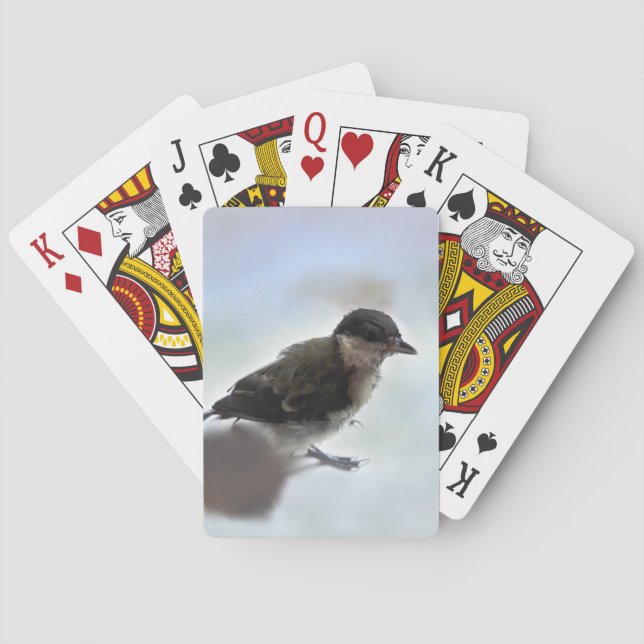 Tidi my Bird the Parus Major Casinokort (Baksidan)