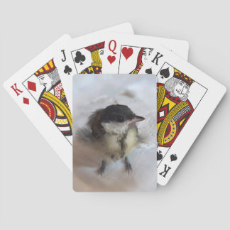 Tidi my Bird the Parus Major Casinokort