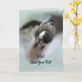 Tidi my Bird the Parus Major Kort