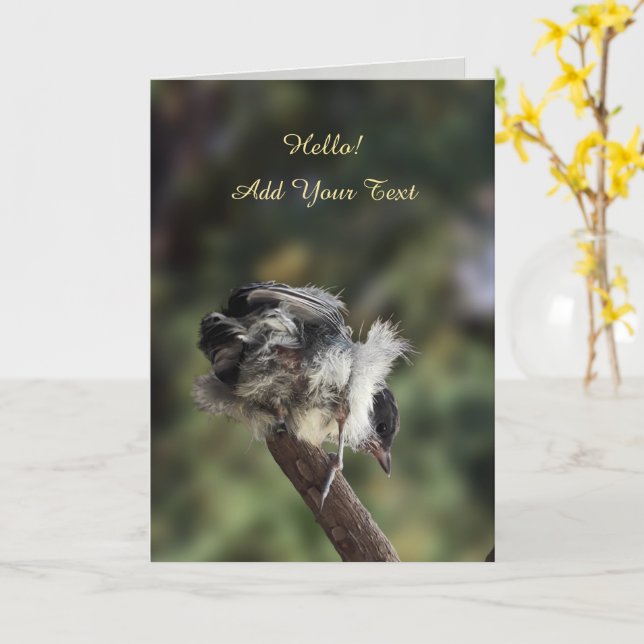Tidi my Bird the Parus Major Kort (Gul blomma)