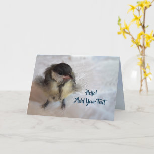Tidi my Bird the Parus Major Kort