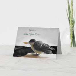 Tidi my Bird the Parus Major Kort