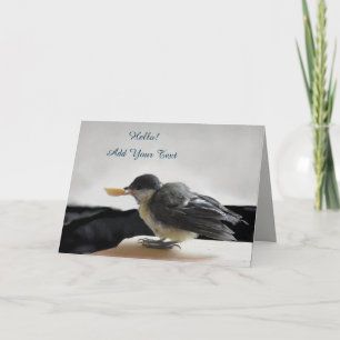 Tidi my Bird the Parus Major Kort