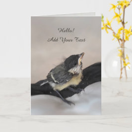 Tidi my Bird the Parus Major Kort
