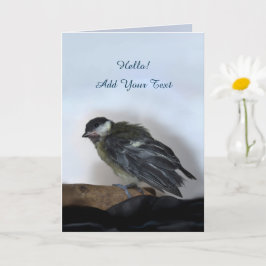 Tidi my Bird the Parus Major Kort