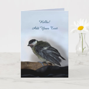 Tidi my Bird the Parus Major Kort