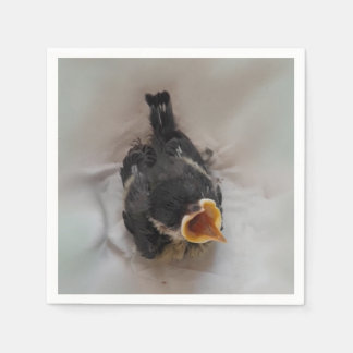 Tidi my Bird the Parus Major Pappersservett