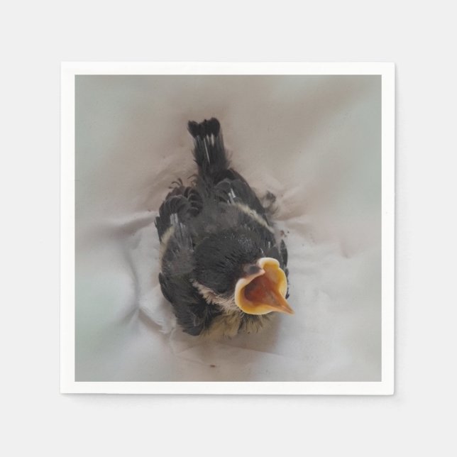 Tidi my Bird the Parus Major Pappersservett (Framsidan)