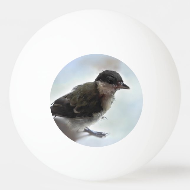 Tidi my Bird the Parus Major Pingisboll (Framsidan)
