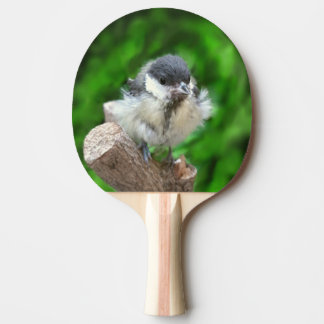 Tidi my Bird the Parus Major Pingisracket
