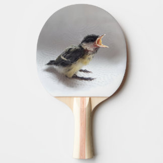Tidi my Bird the Parus Major Pingisracket