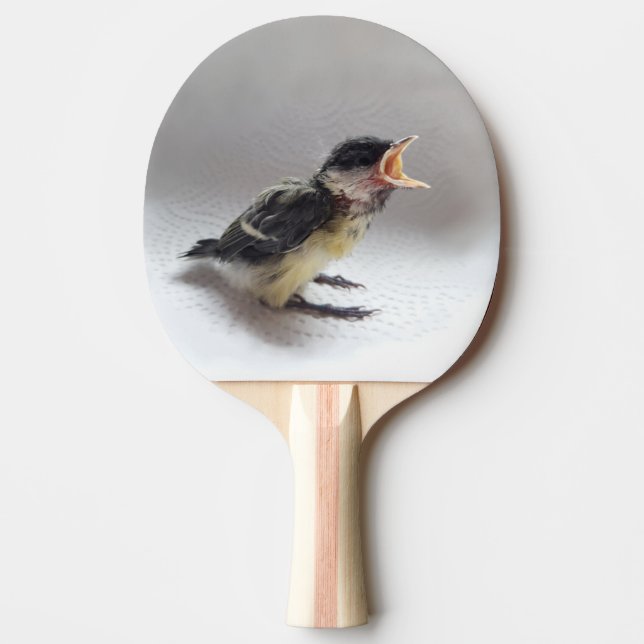 Tidi my Bird the Parus Major Pingisracket (Framsidan)