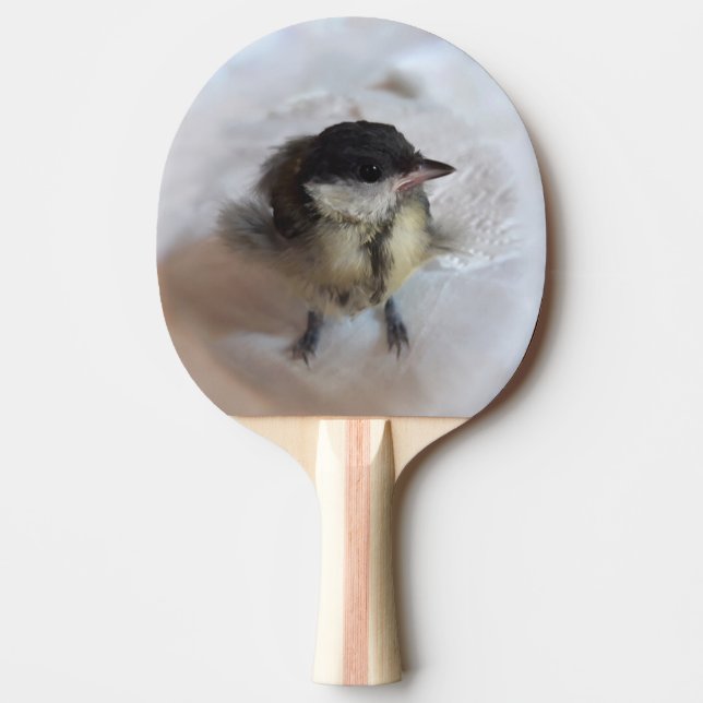 Tidi my Bird the Parus Major Pingisracket (Framsidan)