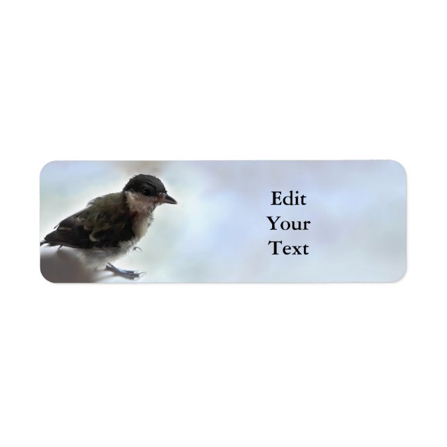 Tidi my Bird the Parus Major Returadress Etikett (Framsidan)