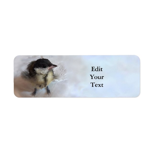 Tidi my Bird the Parus Major Returadress Etikett (Framsidan)