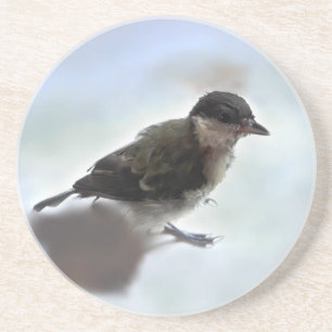 Tidi my Bird the Parus Major Underlägg