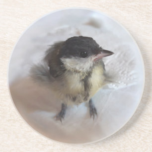 Tidi my Bird the Parus Major Underlägg