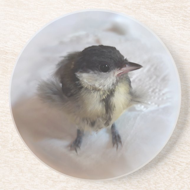 Tidi my Bird the Parus Major Underlägg (Framsidan)