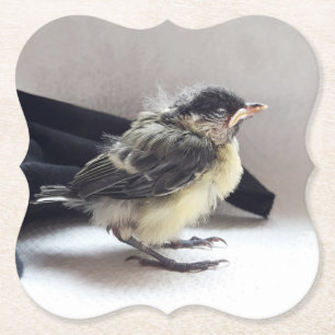 Tidi my Bird the Parus Major Underlägg Papper