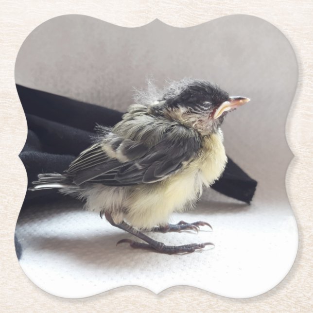 Tidi my Bird the Parus Major Underlägg Papper (Framsida)
