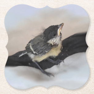 Tidi my Bird the Parus Major Underlägg Papper