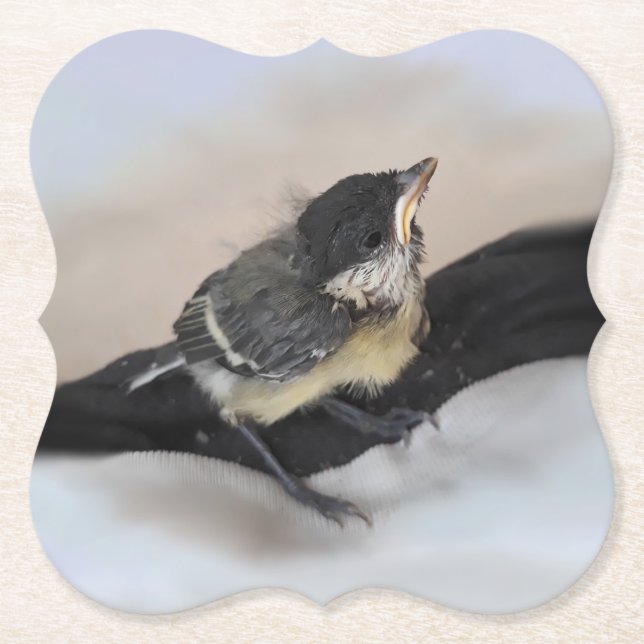 Tidi my Bird the Parus Major Underlägg Papper (Framsida)