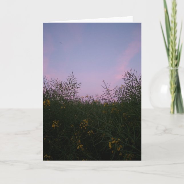 tidig afton amongst lövverket kort (Framsida)