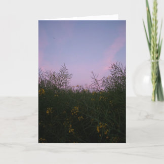 tidig afton amongst lövverket kort