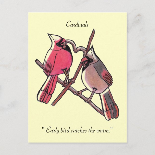 "Tidig fågel fångar masken."Postkort Vykort (Framsida)