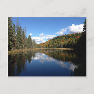 Tidig höst i Algonquin Provincial Park Vykort