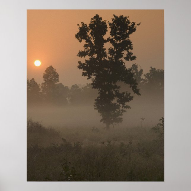 Tidig morgon, uppgående sol och markdimma poster (Framsidan)