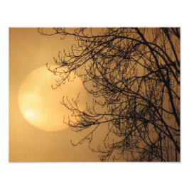 Tidig morgonsol fototryck