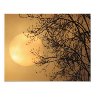 Tidig morgonsol fototryck