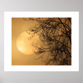 Tidig morgonsol poster