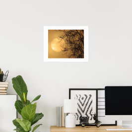 Tidig morgonsol  poster