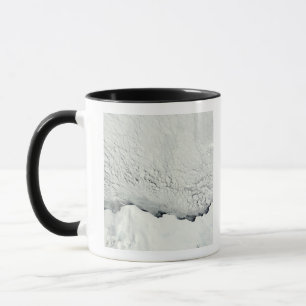 Tidig vår i antarcticen mugg