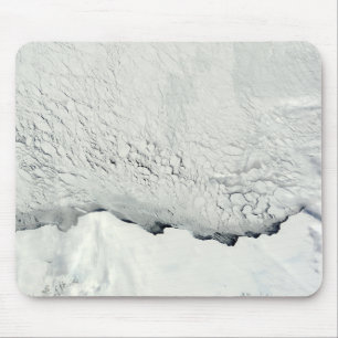 Tidig vår i antarcticen musmatta