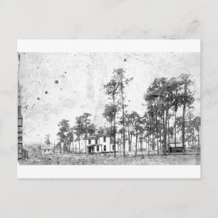 Tidiga år, Mount Dora, FL Vykort