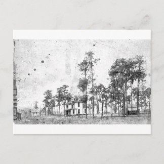 Tidiga år, Mount Dora, FL Vykort
