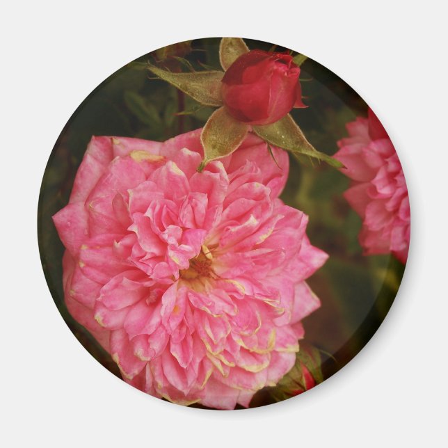 Tidigare tider magnet (Framsidan)