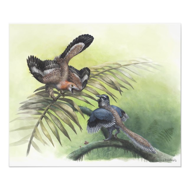 Tidigaste fågeln fototryck (Framsidan)