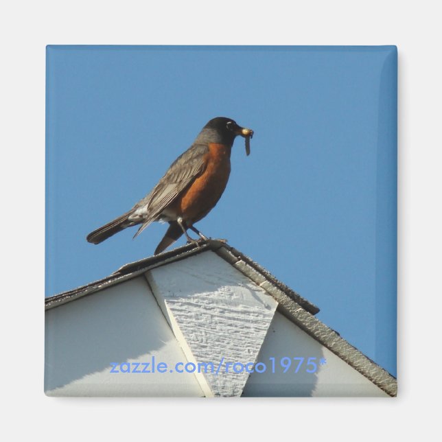 Tidigt Bird Magnet (Framsidan)