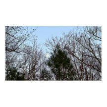 Tidigt Evening Måne