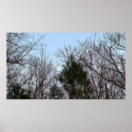 Tidigt Evening Måne Poster